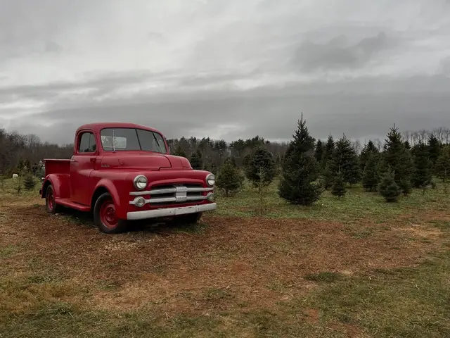 The Dodge in the rows