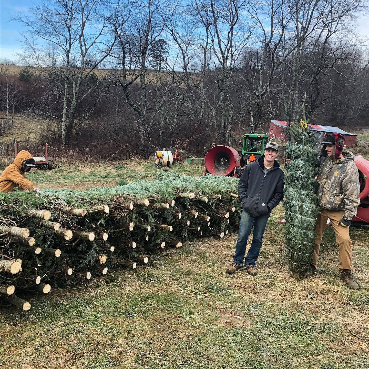 Stacks of freshly baled Fraser Firs beside the baler, with two of the crew