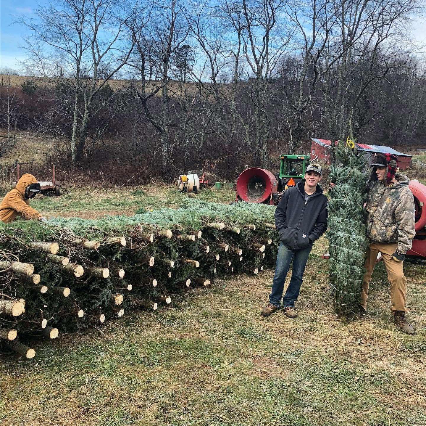 Stacks of freshly baled Fraser Firs beside the baler, with two of the crew