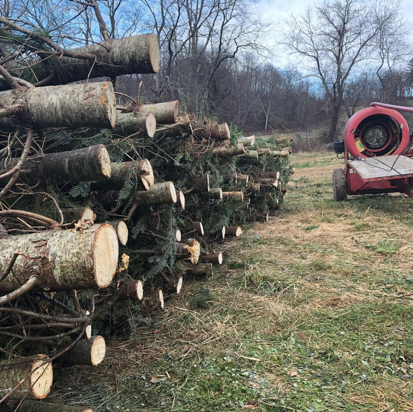 Close-up of baled tree trunks stacked and ready to load