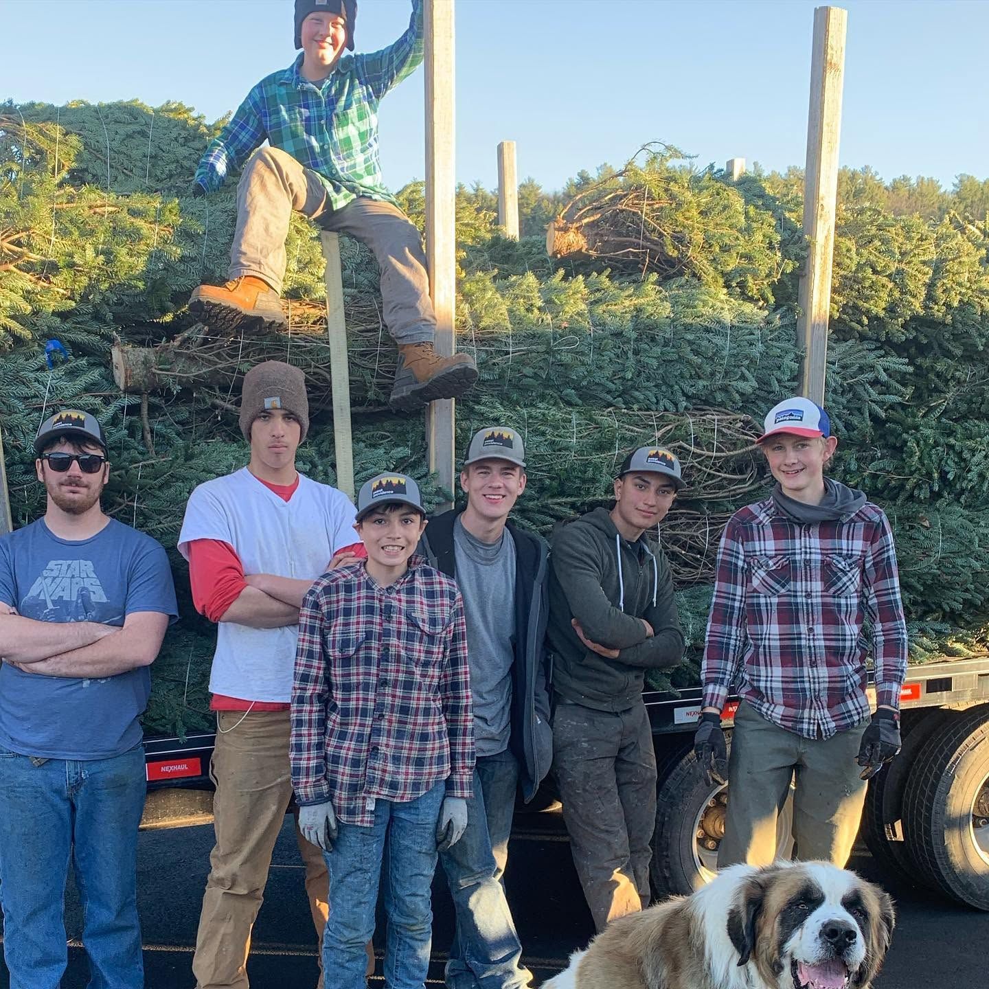 The farm crew, seven people and a St. Bernard, in front of a trailer loaded with trees
