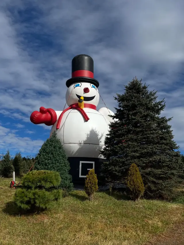 Frosty at the lot