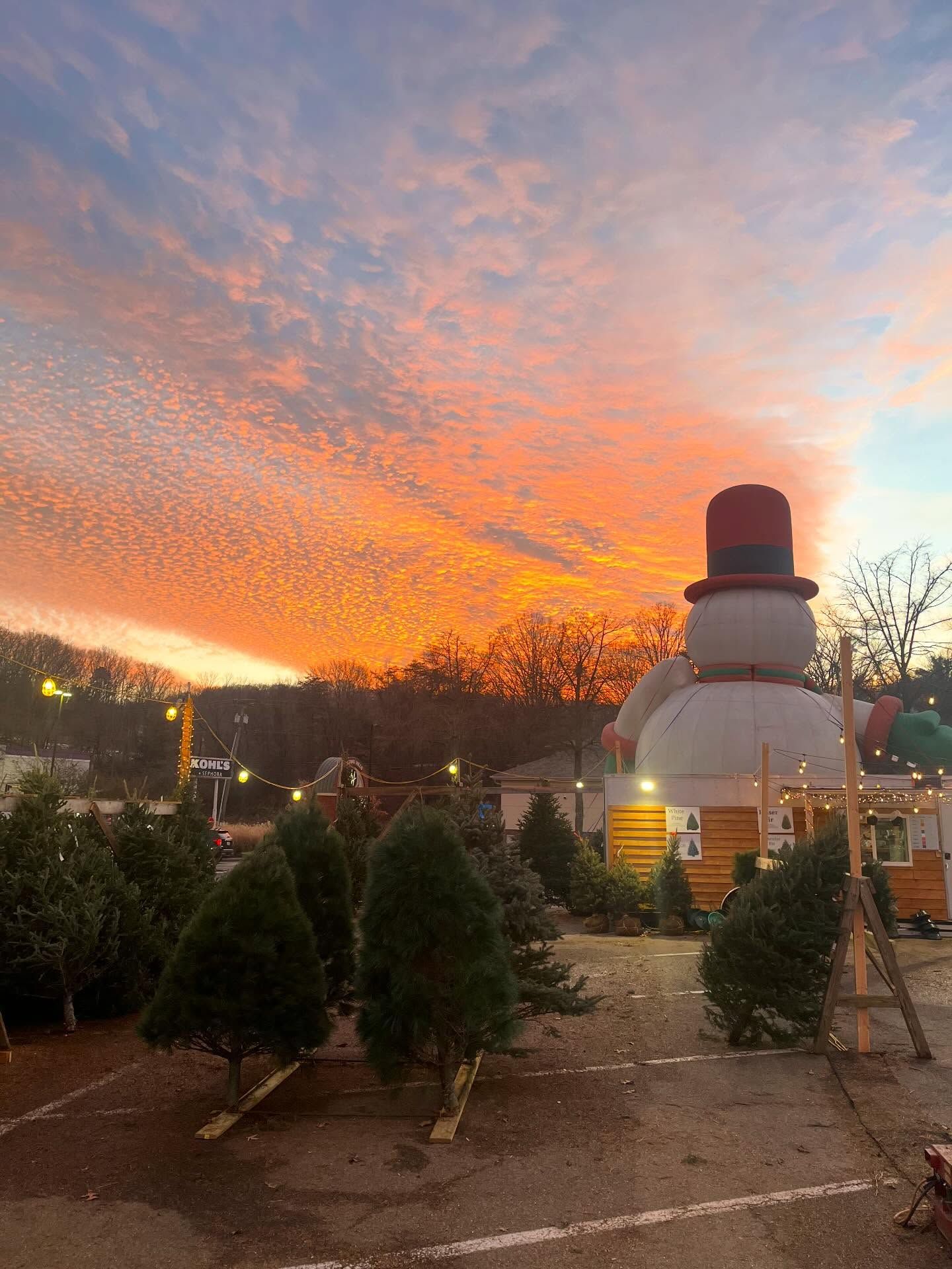Frosty, the 30-foot inflatable snowman, silhouetted against an orange sunset over the tree lot