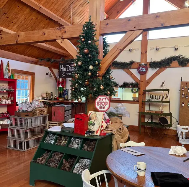 Inside the store