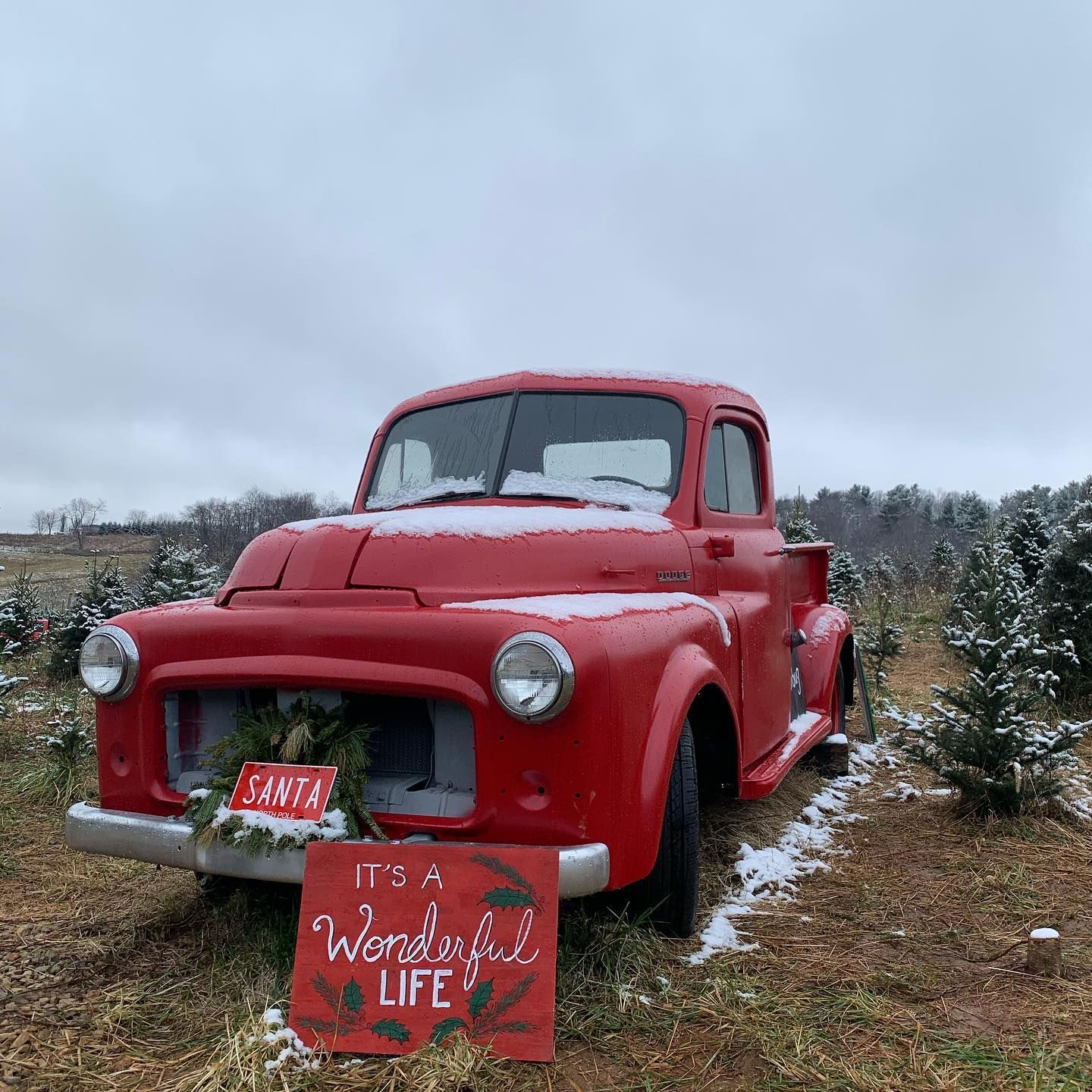 The red pickup with a wreath on its grille and a “Santa, it’s a wonderful life” sign, a dusting of snow on the ground
