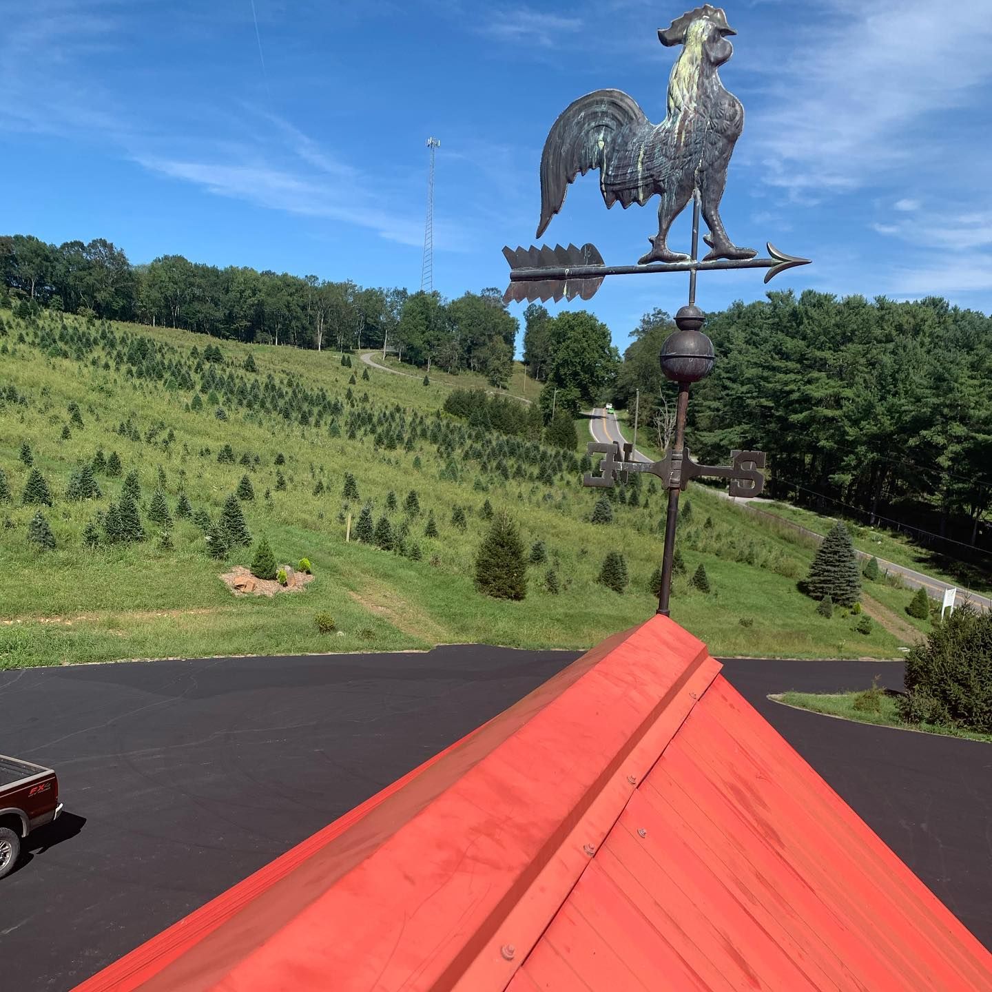 The rooster weathervane on the store’s red roof, tree rows rolling away behind it
